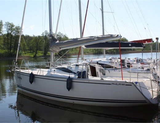Delphia 26