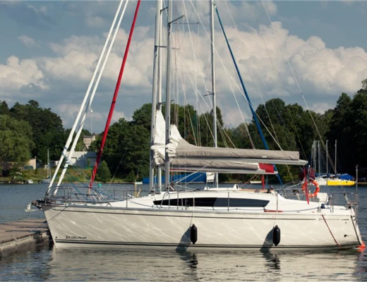 Delphia 33