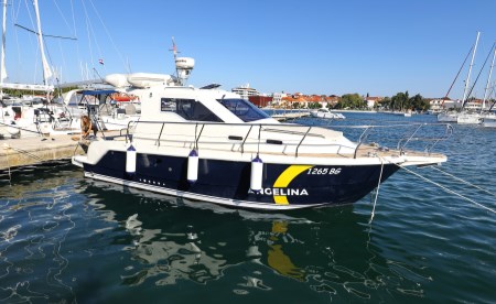 SAS Vektor 950