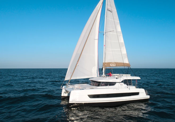 Bali Catspace Marina Kornati | Dragonfly