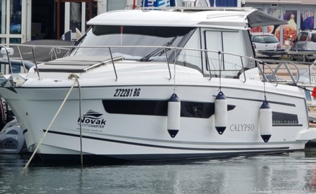 Merry Fisher 895