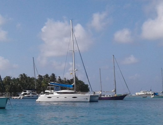 Salina 48