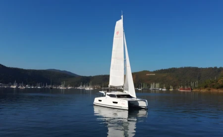 Isla 40