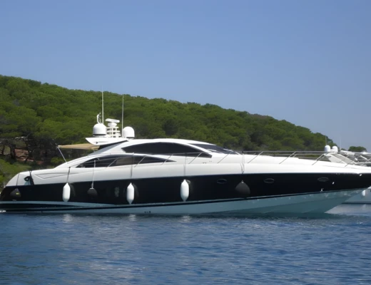 Predator 72