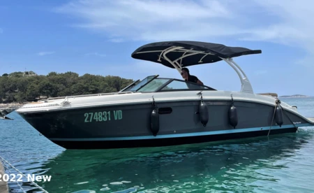 Sea Ray SDX 270