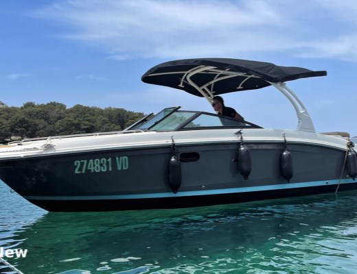 Sea Ray SDX 270