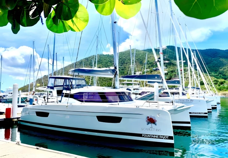 Isla 40 Nanny Cay | Scarlet Ibis