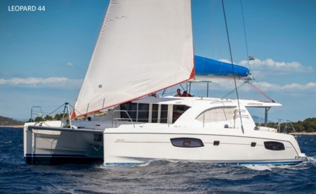 Leopard 44