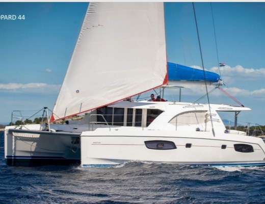 Leopard 44