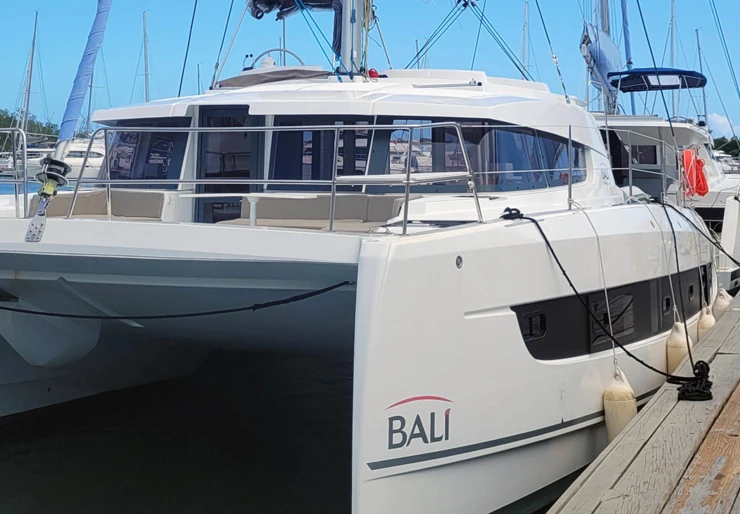 Bali 4.2 Nanny Cay | Le 113