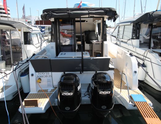 Merry Fisher 895