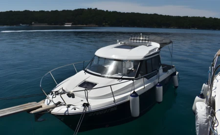 Merry Fisher 795