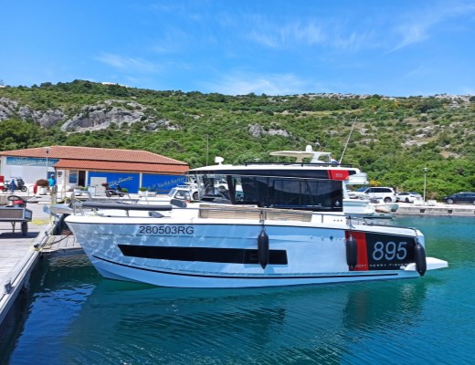 Merry Fisher 895