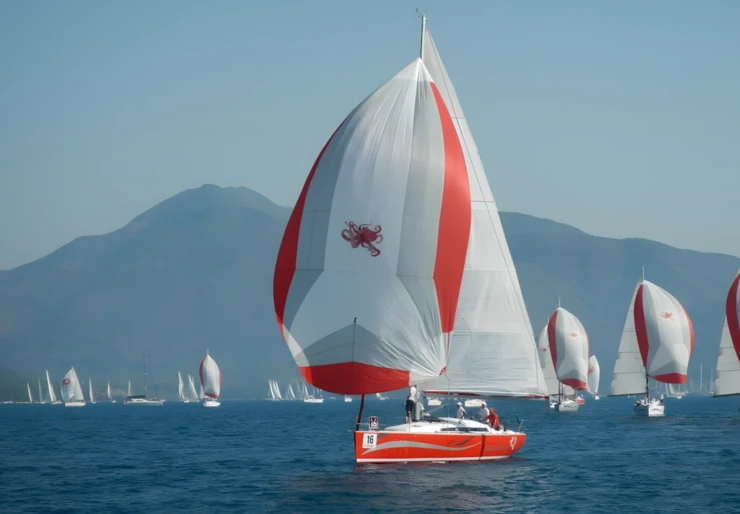 Salona 41 Adakoy Marina | Race Dog