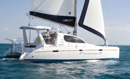 Leopard 40