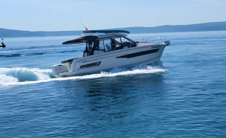 Merry Fisher 895