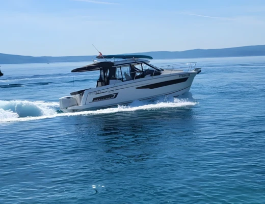 Merry Fisher 895
