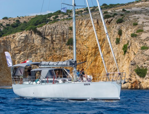 Dolphin 50