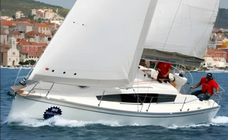Delphia 31