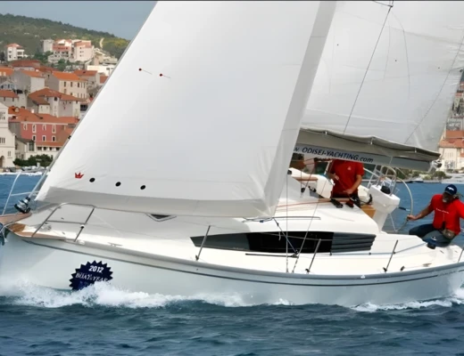 Delphia 31