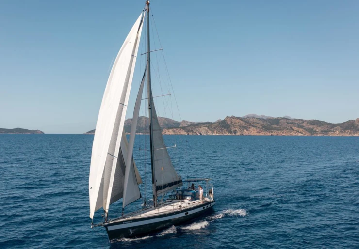 Cigale 16 Andraitx | Sargantal Zulu