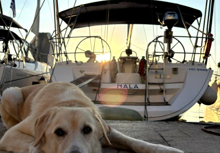 Sun Odyssey 45 Preveza | Nala