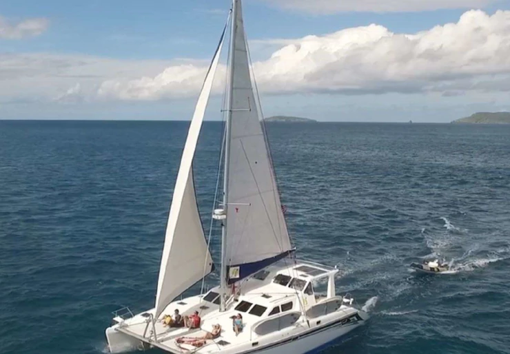 ST Francis 50 Antilles | PARADIGM SHIFT