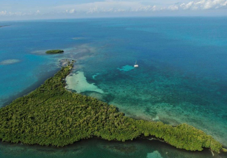Saba 50 Belize | Nowhere