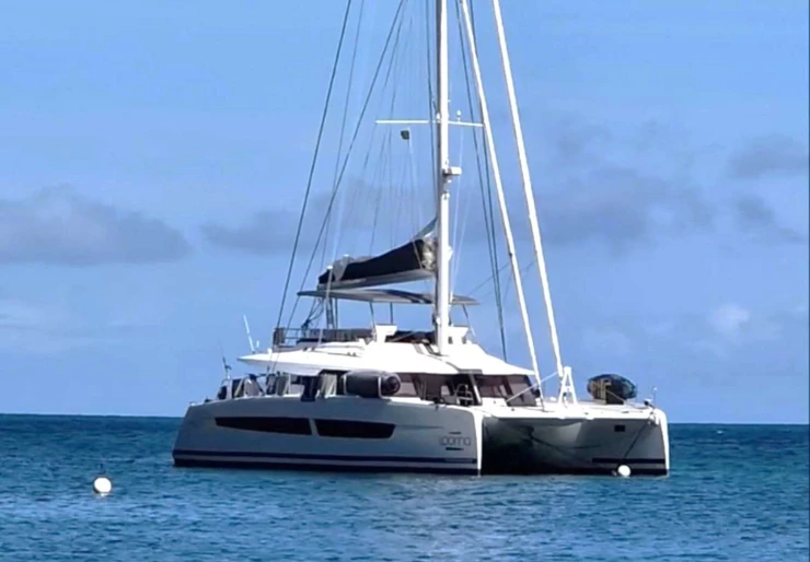 Alegria 67 West Indies | LOOMA