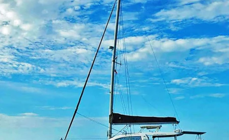 Leopard 46