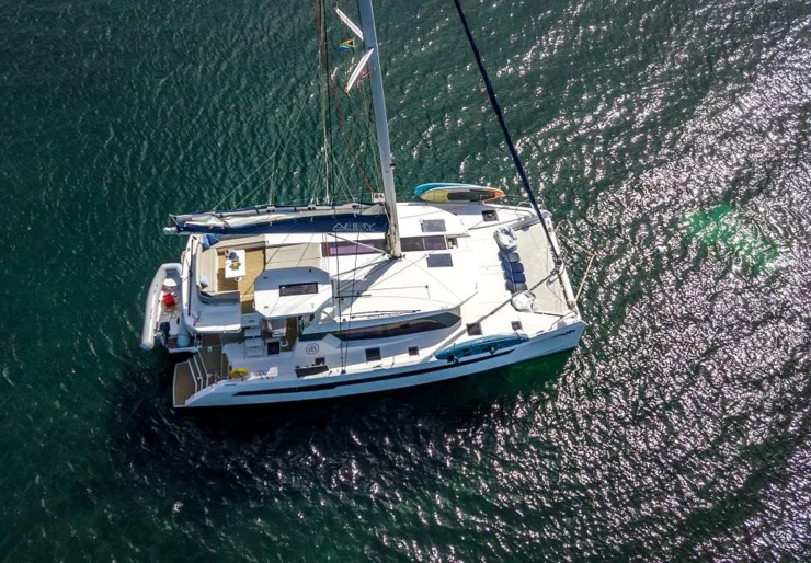 Leopard 50 Antilles | ABBY NORMAL TO
