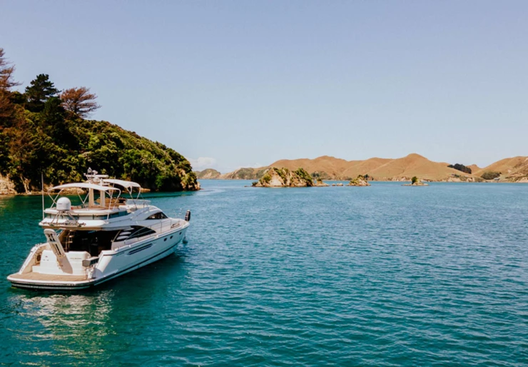 Squadron 58 Nueva Zelanda | INDIAN SUMMER