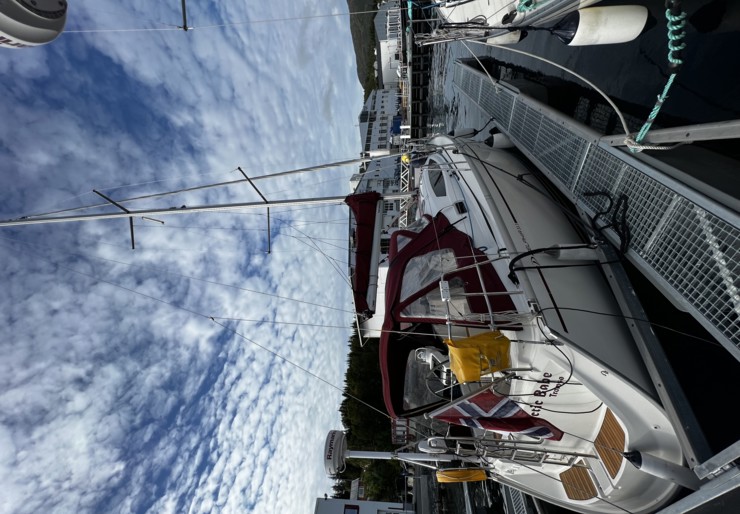 Delphia 33.3 Harstad | Arctic Babe