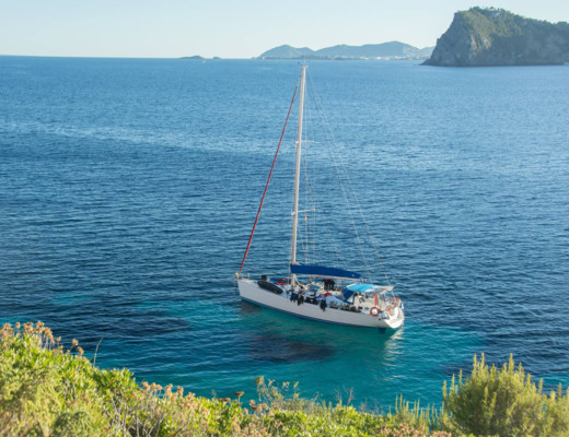 Cyclades 50.5