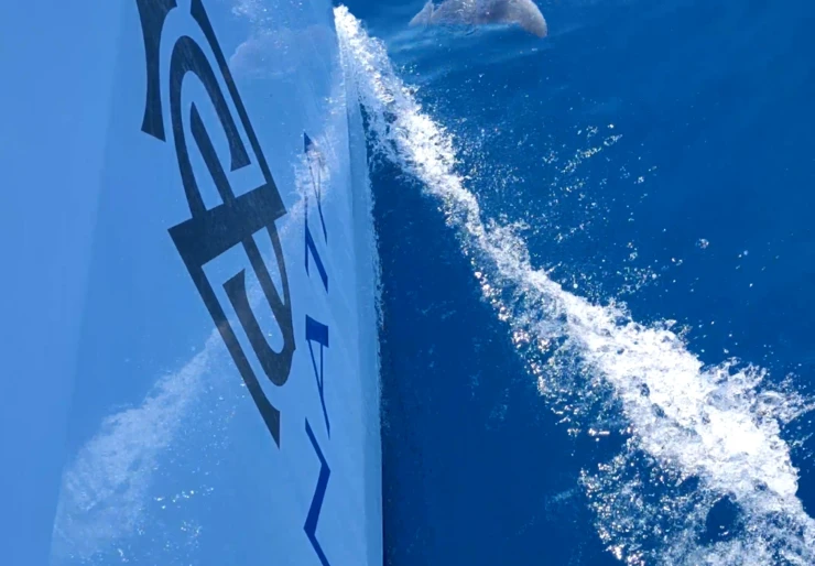 Sunreef 60 Marina Frapa | SINATA