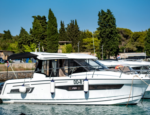 Merry Fisher 895