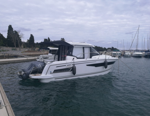 Merry Fisher 895