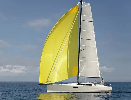 Pogo 36