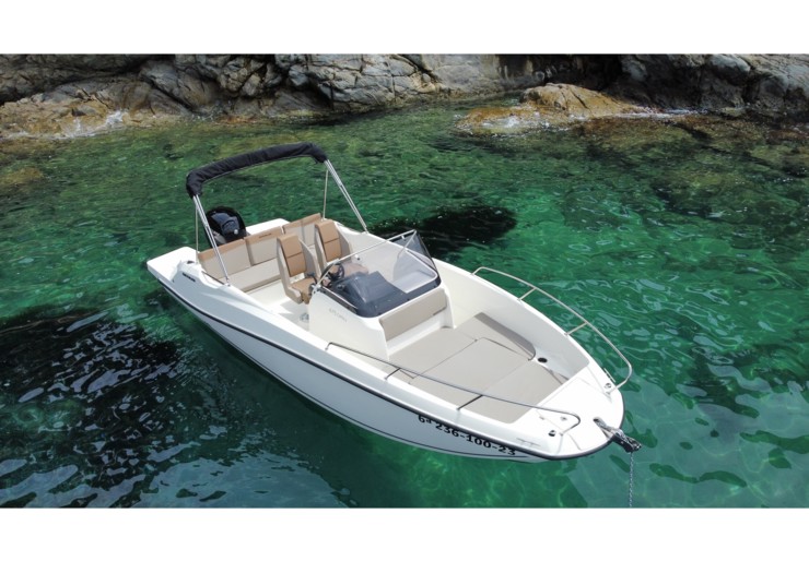 Quicksilver Activ 675 Open Roses | Firulais