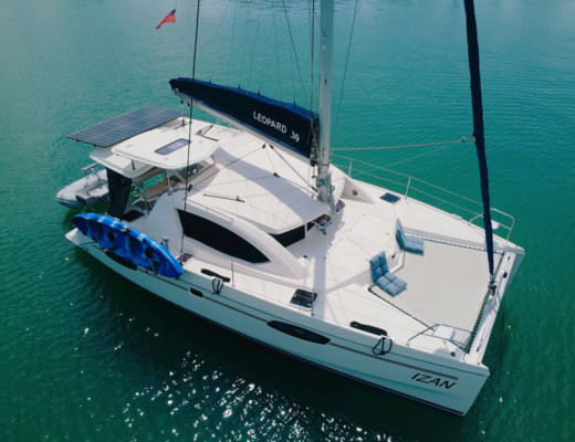 Leopard 39