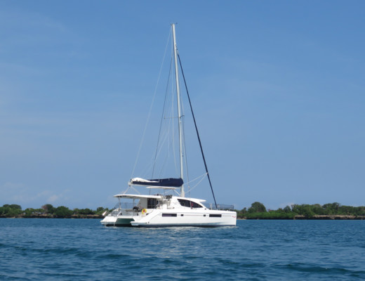 Leopard 48