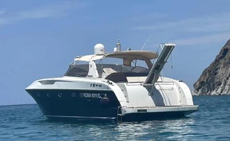 Rizzardi 50 Top Line