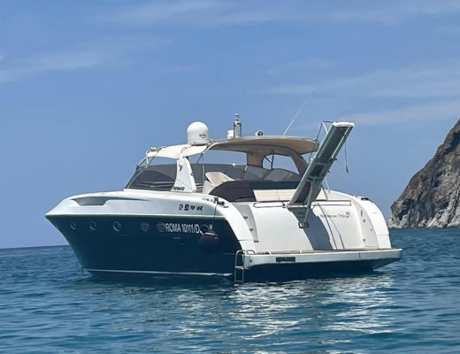 Rizzardi 50 Top Line