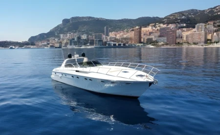 Rizzardi 50 Top Line