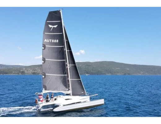 Dragonfly 28