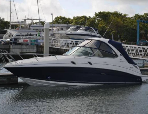 Sea Ray 305 Sundancer Hardtop