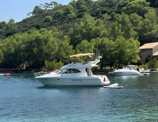 Prestige 36