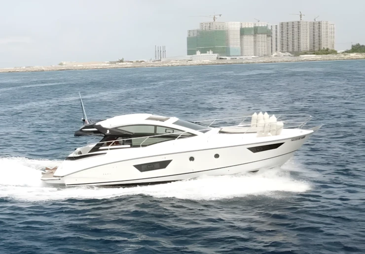 GT40 Male | Island Cruise