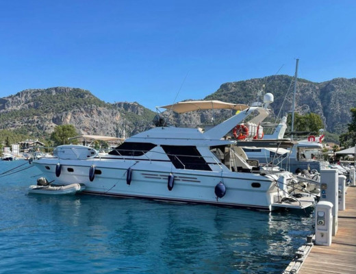 Princess 55