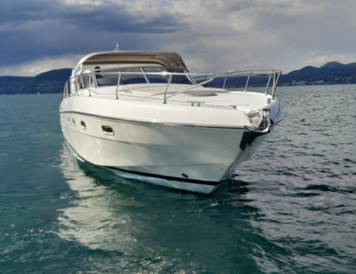 Fiart 40